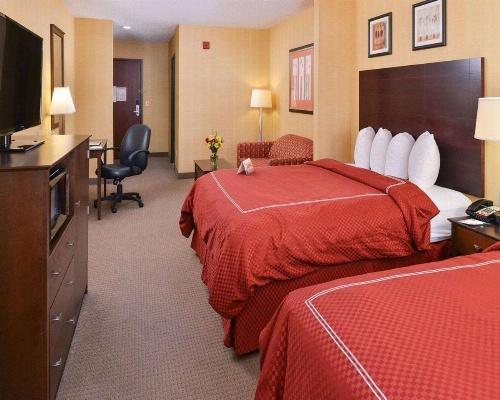 Quality Suites Stratford image 13